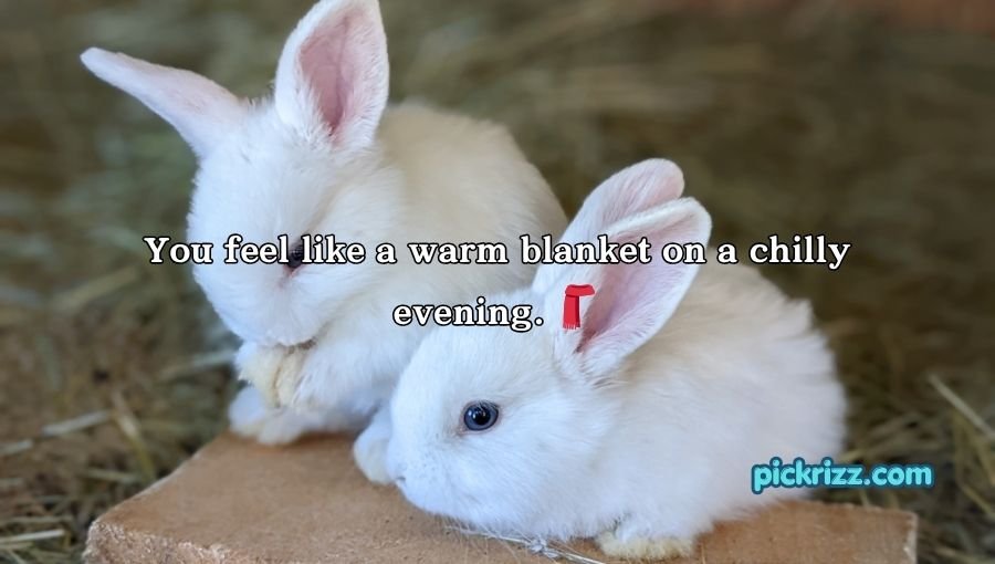 Bunny Pickup Lines