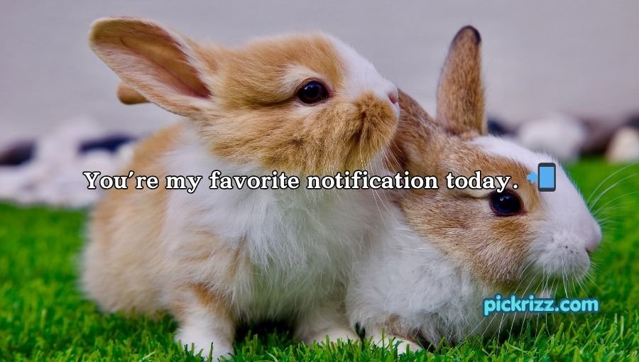 Bunny Pickup Lines
