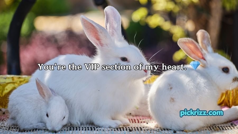 Bunny Pickup Lines