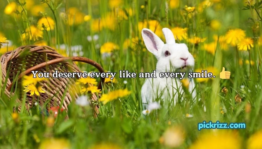 Bunny Pickup Lines