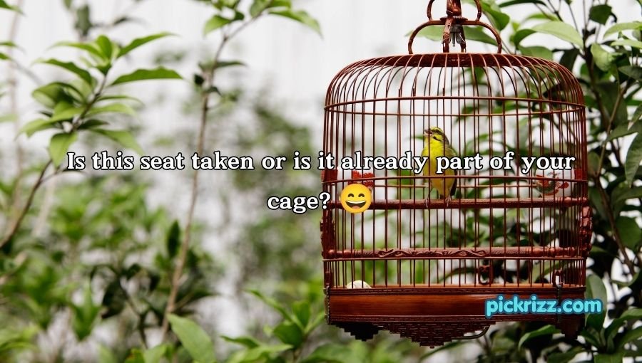 Cage Pickup Lines