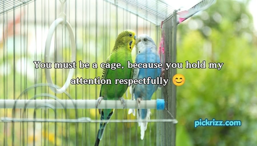 Cage Pickup Lines