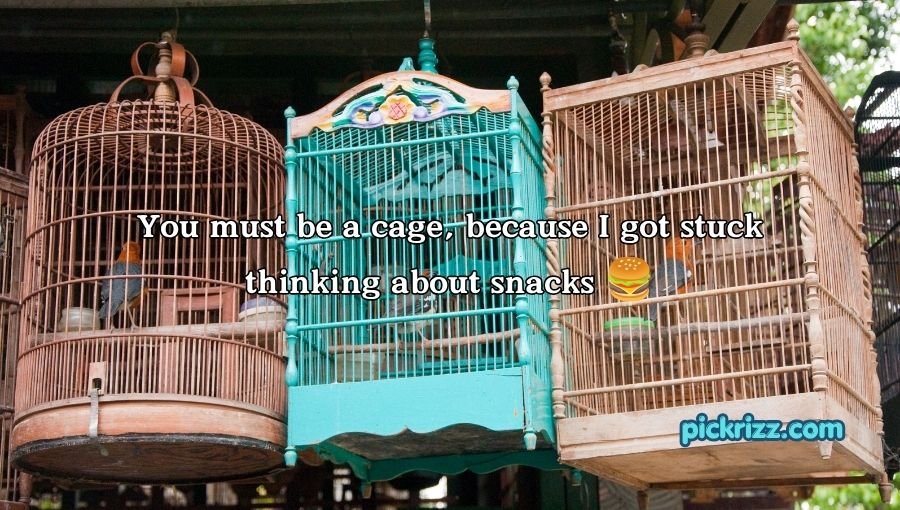Cage Pickup Lines