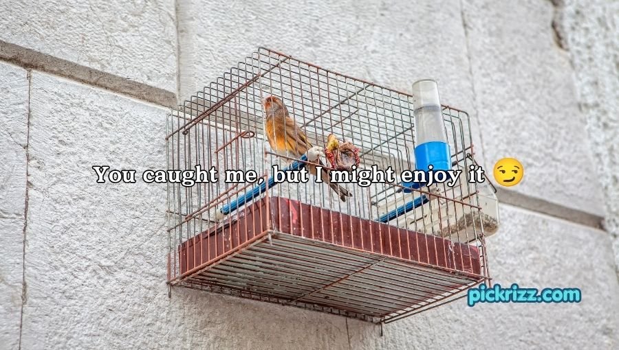 Cage Pickup Lines