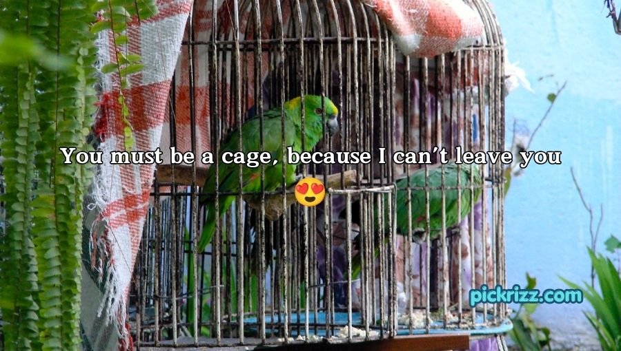 Cage Pickup Lines