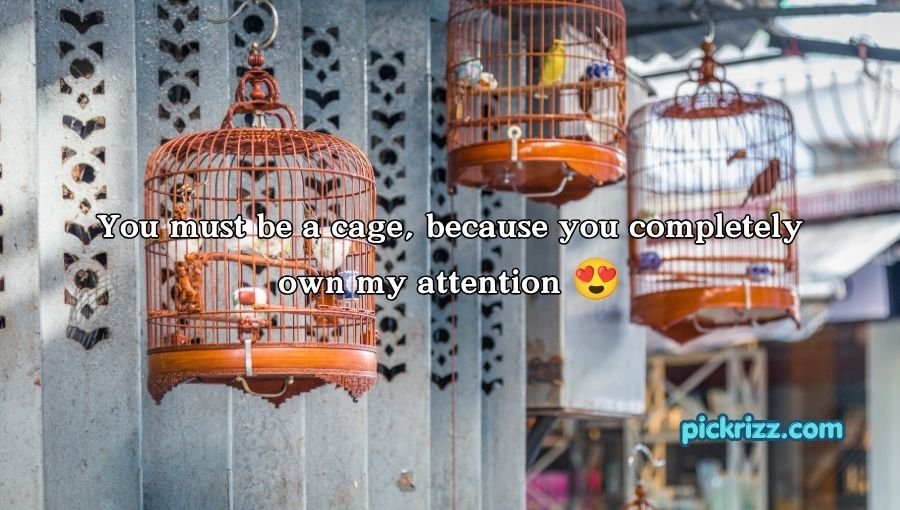 Cage Pickup Lines