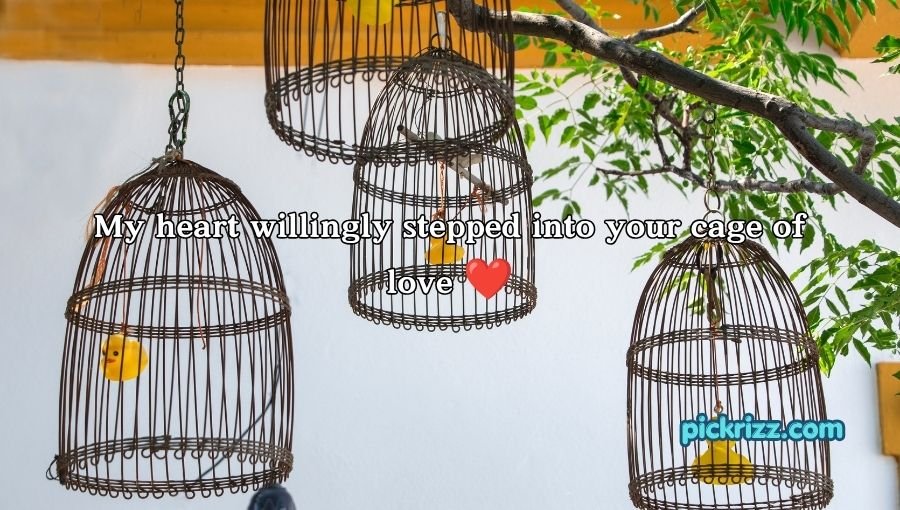 Cage Pickup Lines
