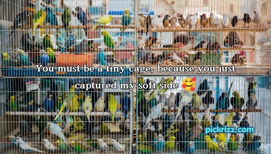 Cage Pickup Lines