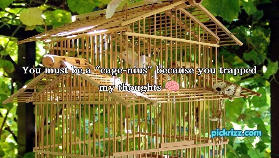 Cage Pickup Lines