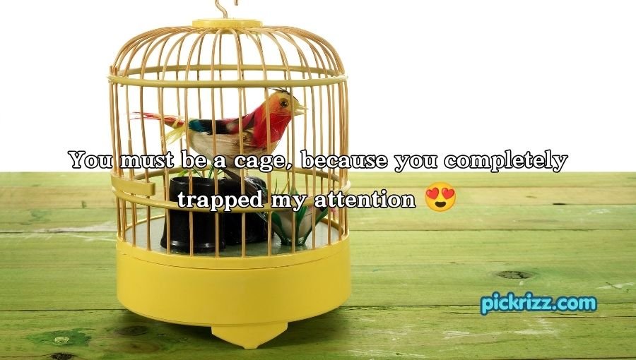 Cage Pickup Lines