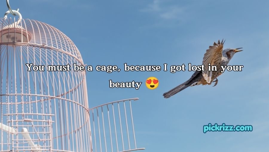 Cage Pickup Lines