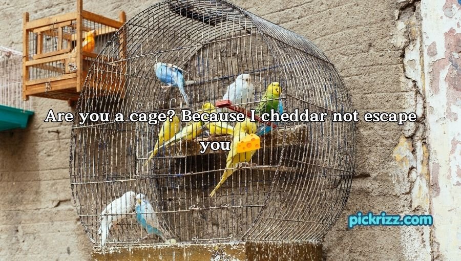 Cage Pickup Lines
