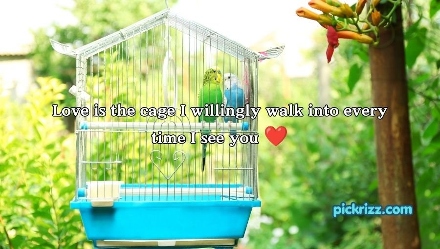 Cage Pickup Lines