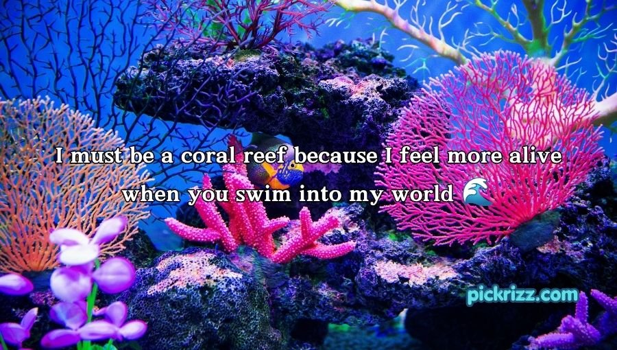 coral reef pick up lines