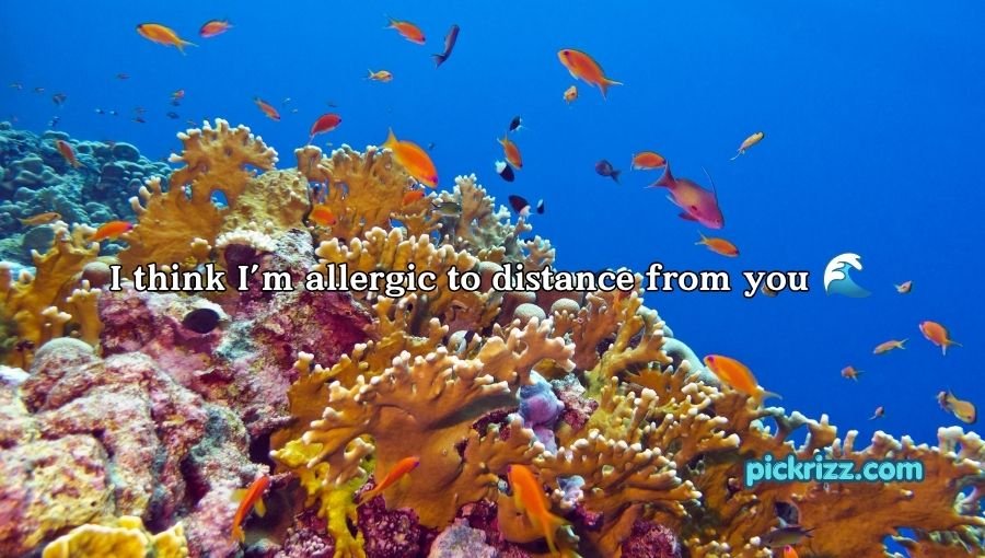 coral reef pick up lines