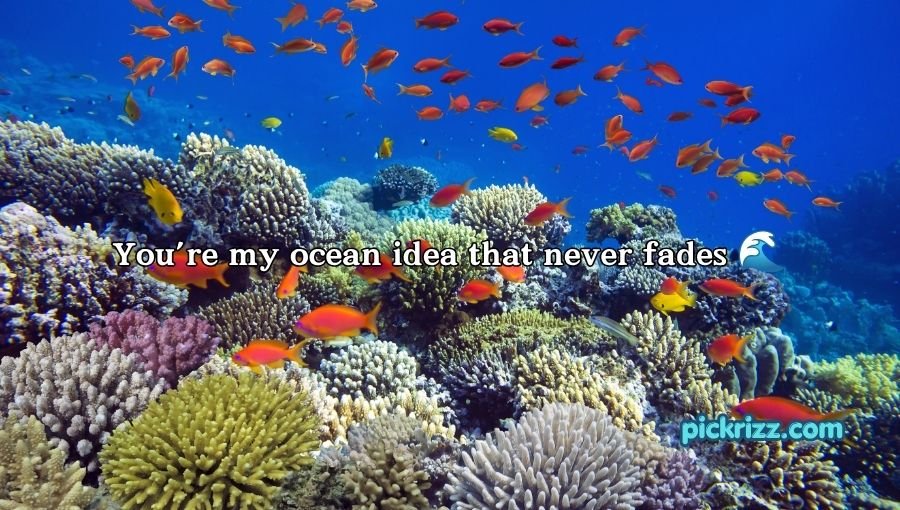 coral reef pick up lines