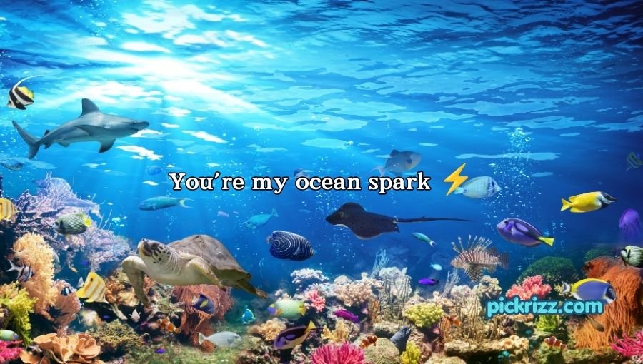 coral reef pick up lines