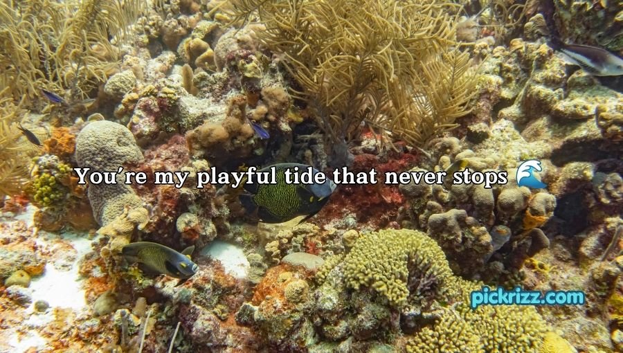 coral reef pick up lines