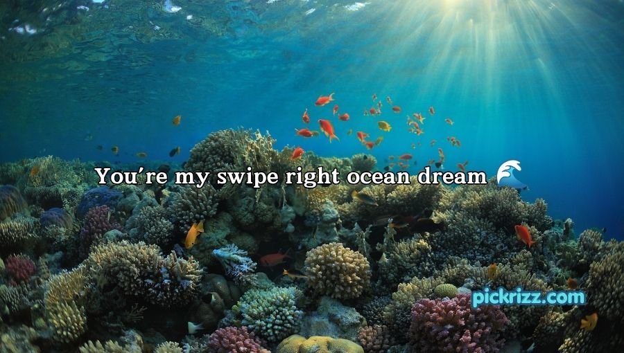 coral reef pick up lines