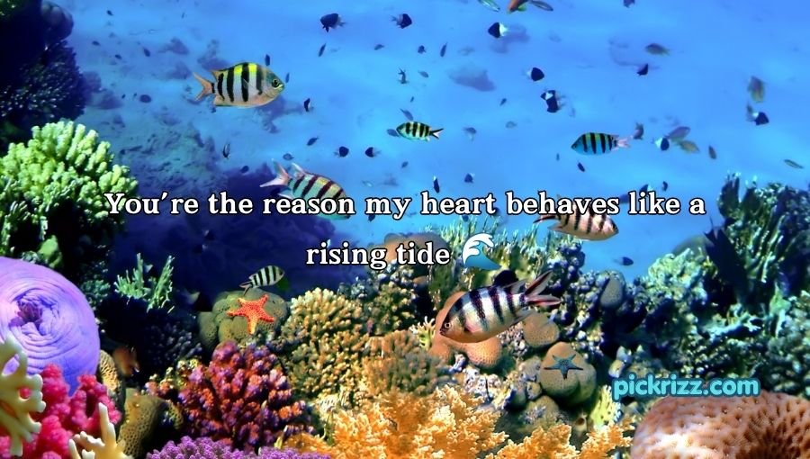 coral reef pick up lines