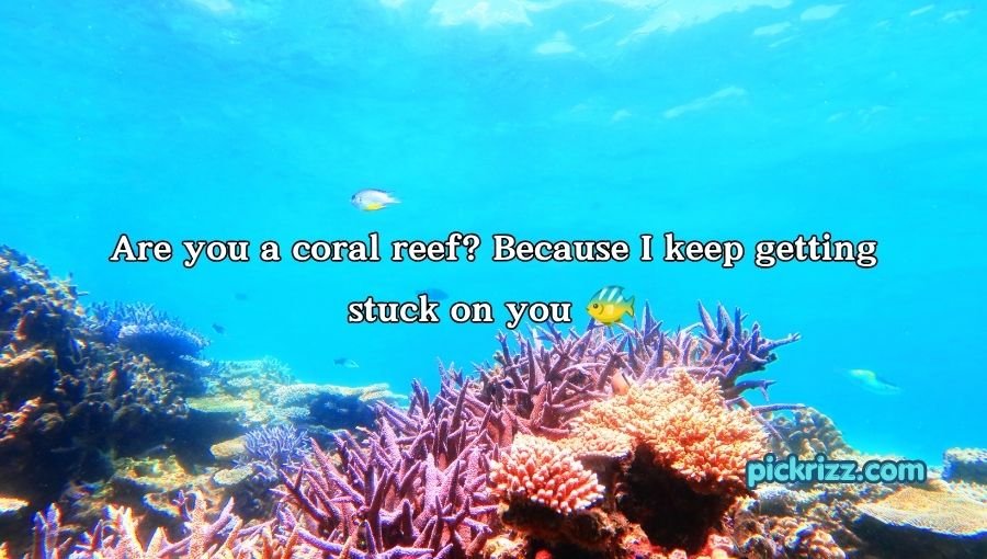 coral reef pick up lines