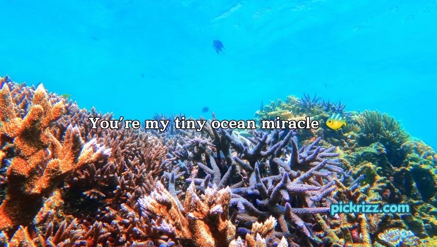 coral reef pick up lines