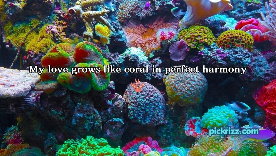 coral reef pick up lines