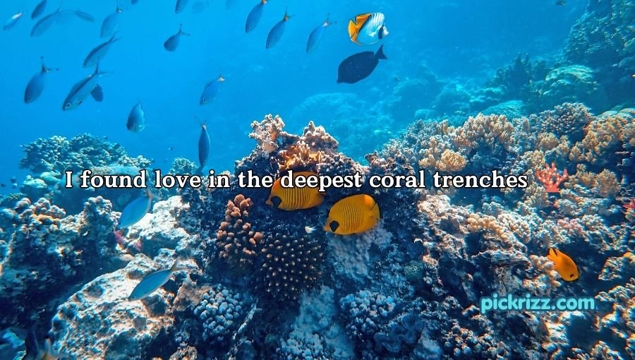 coral reef pick up lines