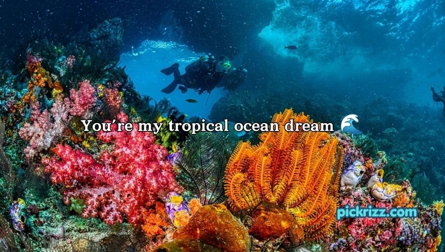 coral reef pick up lines