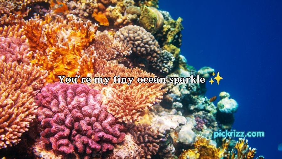 coral reef pick up lines