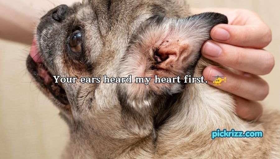 Ear Pick Up Lines