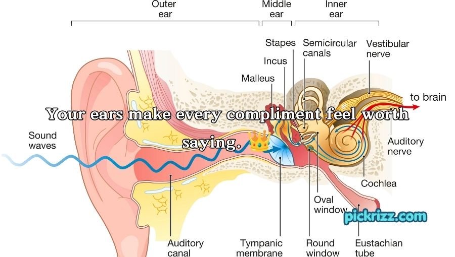 Ear Pick Up Lines