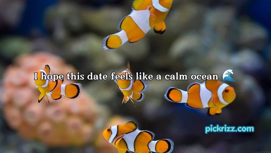 Fish Pick Up Lines for Her