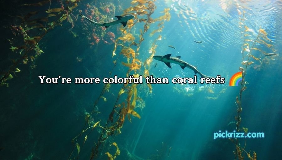Fish Pick Up Lines for Her