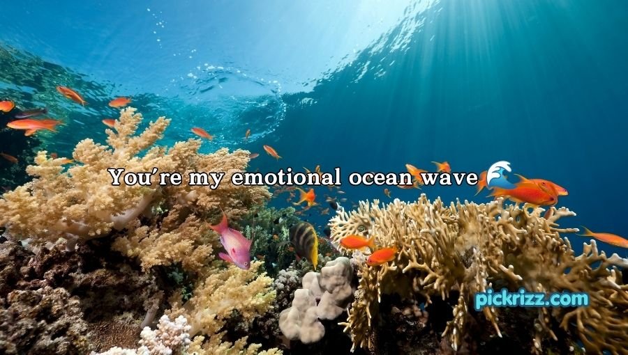 Fish Pick Up Lines for Her