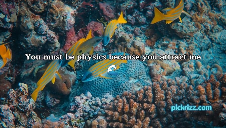Fish Pick Up Lines for Her