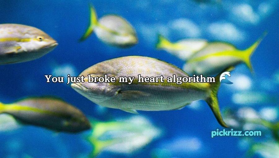 Fish Pick Up Lines for Her