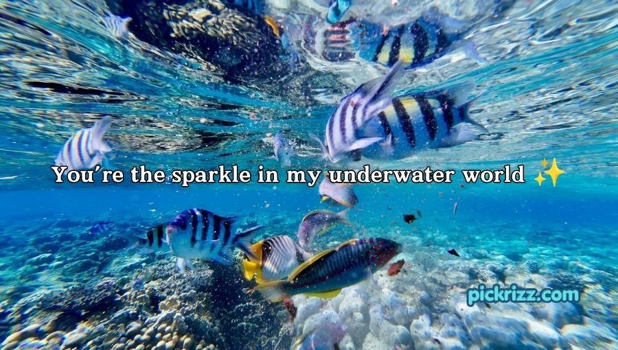 Fish Pick Up Lines for Her