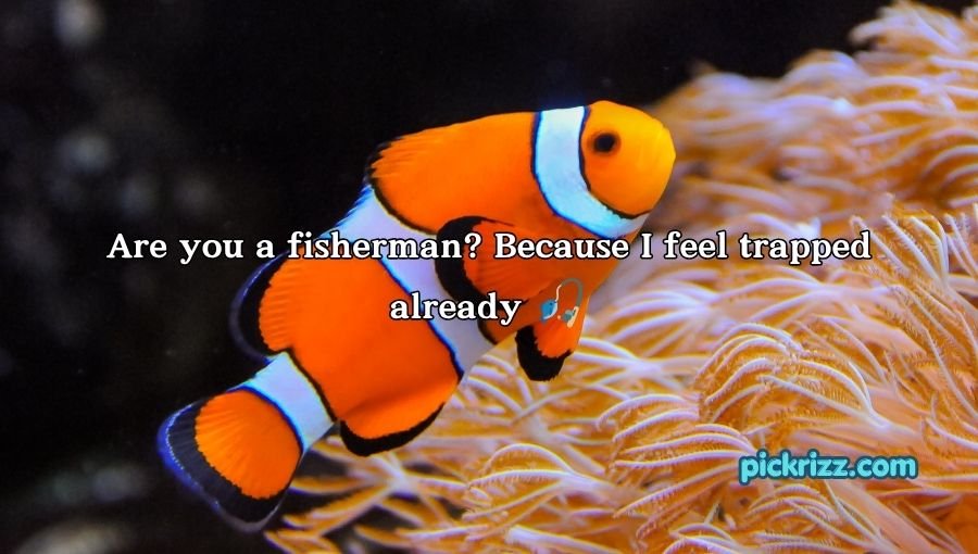 Fish Pick Up Lines for Her