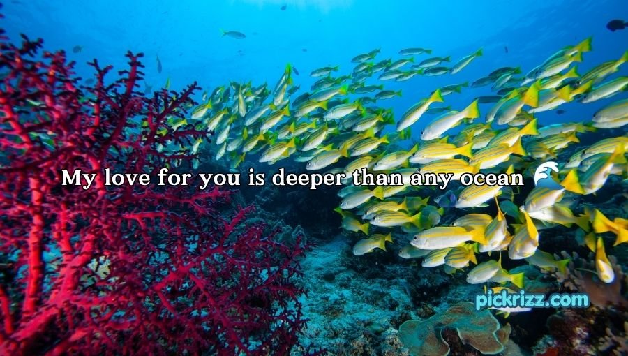 Fish Pick Up Lines for Her