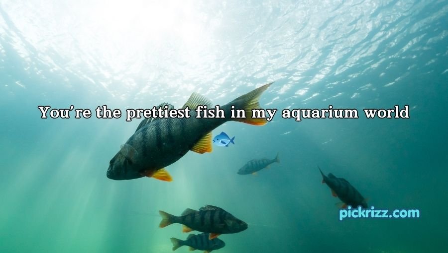 Fish Pick Up Lines for Her