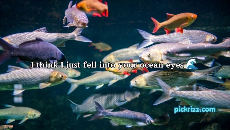 Fish Pick Up Lines for Her