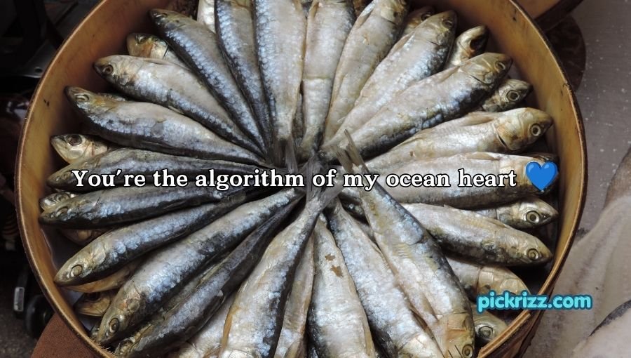 Fish Pick Up Lines for Her