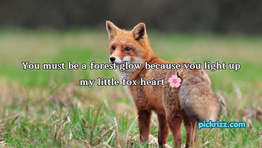 Fox Pickup Lines