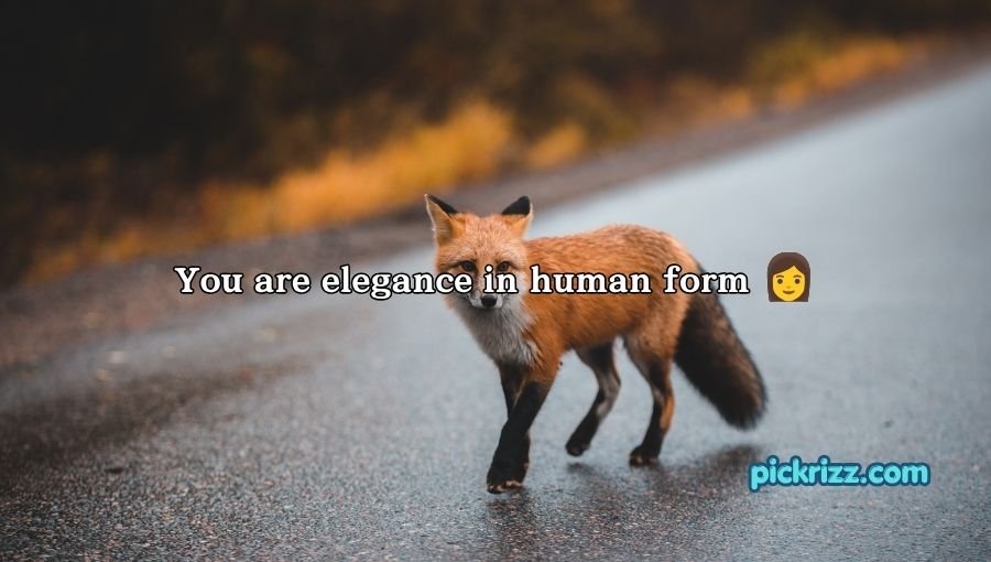 Fox Pickup Lines