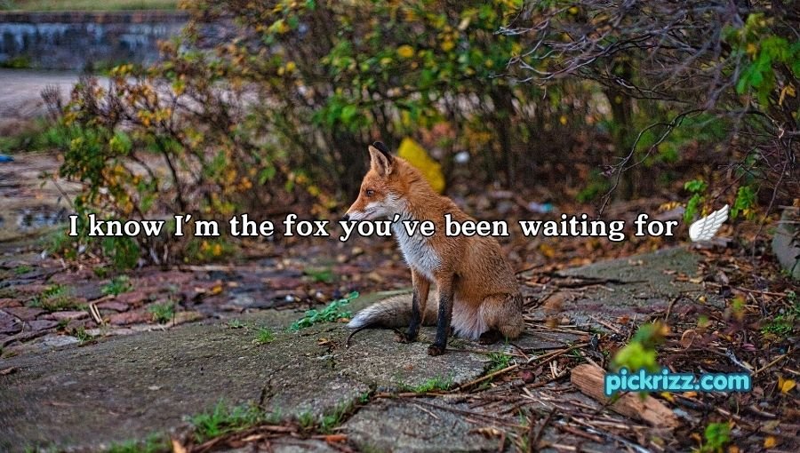 Fox Pickup Lines