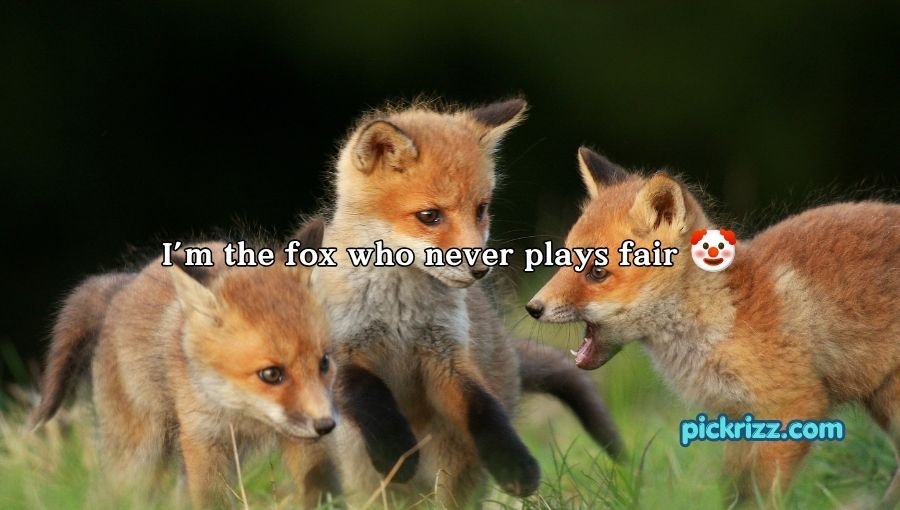 Fox Pickup Lines