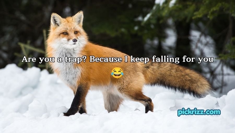 Fox Pickup Lines
