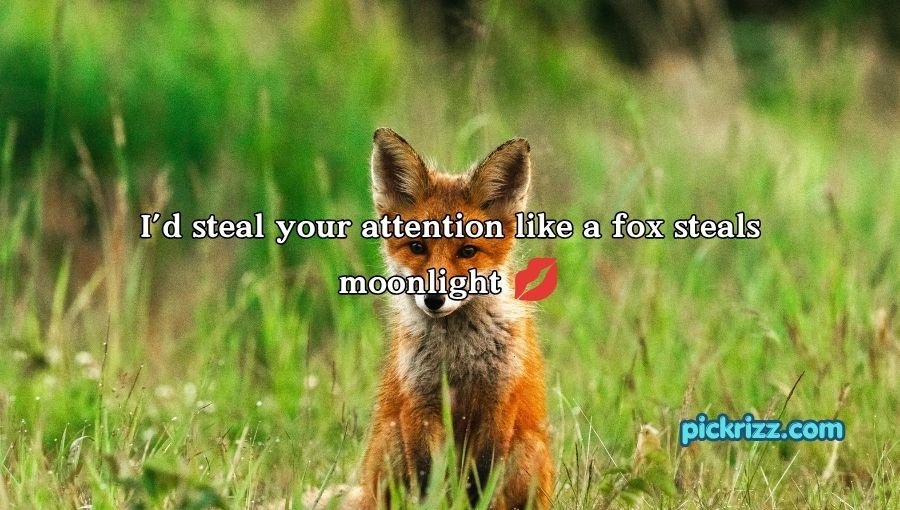 Fox Pickup Lines