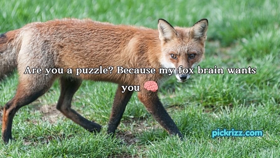Fox Pickup Lines